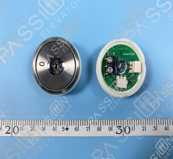 BST Button A4N19290