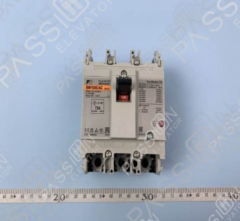 Fuji Circuit Breaker BW100EAG -3P075