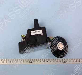 Elevator Limit Switch DI-101 DC125V