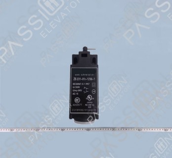 SCHMERSRL Limit Switch ZS 231-01r-1256-1